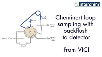 VICI – Cheminert loop sampling with backflush to detector