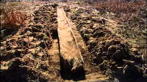 Dugout Canoes-Discovering 101 Canoes at Newnans Lake, Fla.