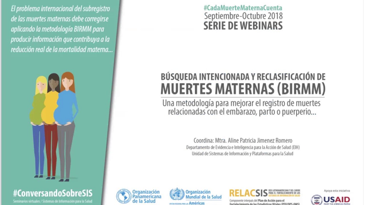 health insurance BIRMM - La experiencia de Paraguay en la implementación