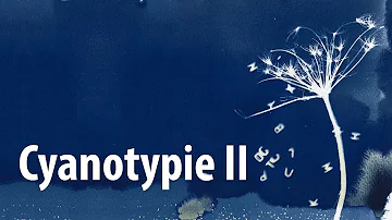 Wie macht man eine Cyanotypie?