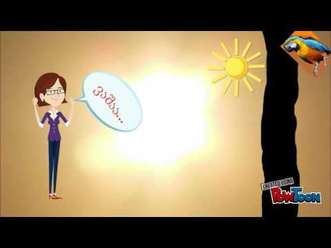 წვიმა-Rain