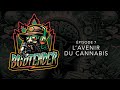 Argent industrie gouvernement culture  quel est lavenir du cannabis   budtender podcast