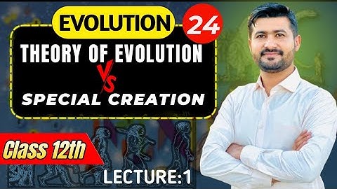 Theory of Evolution & Special Creation | Class 12 Biology Chapter 24 Explained