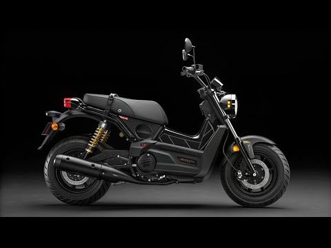 Final Announcement! 2026 Honda Zoomer Big Gravity Storm | Complete