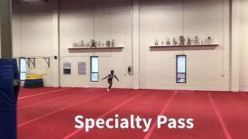 Level 4 Try Out Video