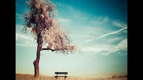 Ghost BSD 11.1 full Tour