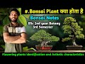 What is Bonsai | BSc 2nd year Botany 3rd Sem |Flowering Plant Identification and Aesthetic character