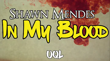Shawn Mendes - In My Blood (Lyrics)