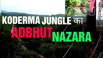 KODERMA GHATI TRAIN !! KODERMA  JUNGLE GUFA  ,JHARKHAND! NEW DELHI  TO KODERMA  VIA PURI JUNCTION.
