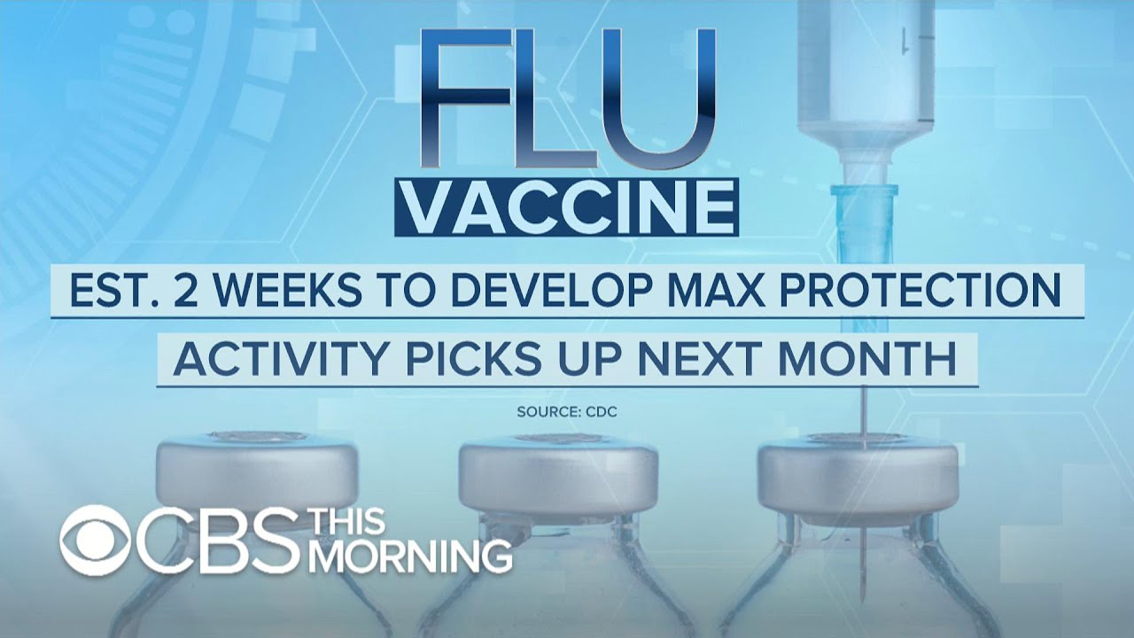 Why you should get your flu shot