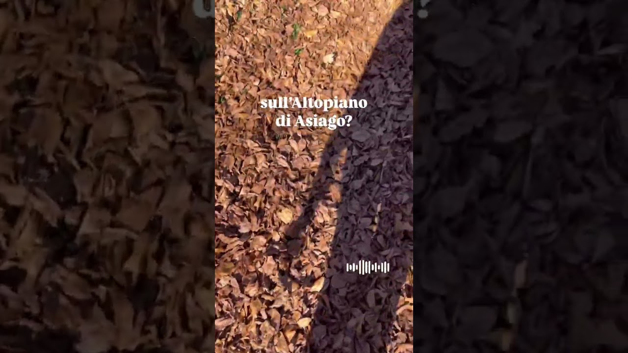 Foliage sull’Altopiano di Asiago