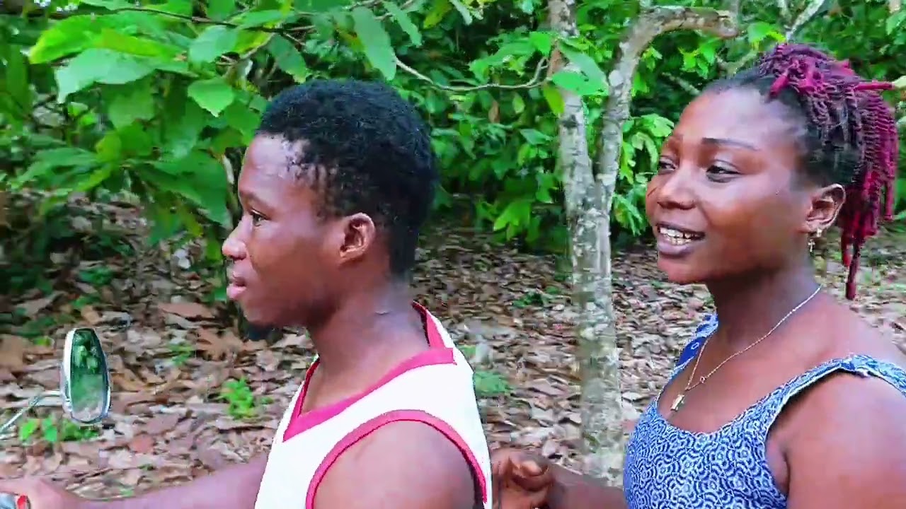 Évangelisation                                   0709532625