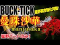 【星野英彦強化月間】「BUCK-TICK / 曼珠沙華 manjusaka」星野パートのみをギターで弾いてみた(GUITAR COVER)