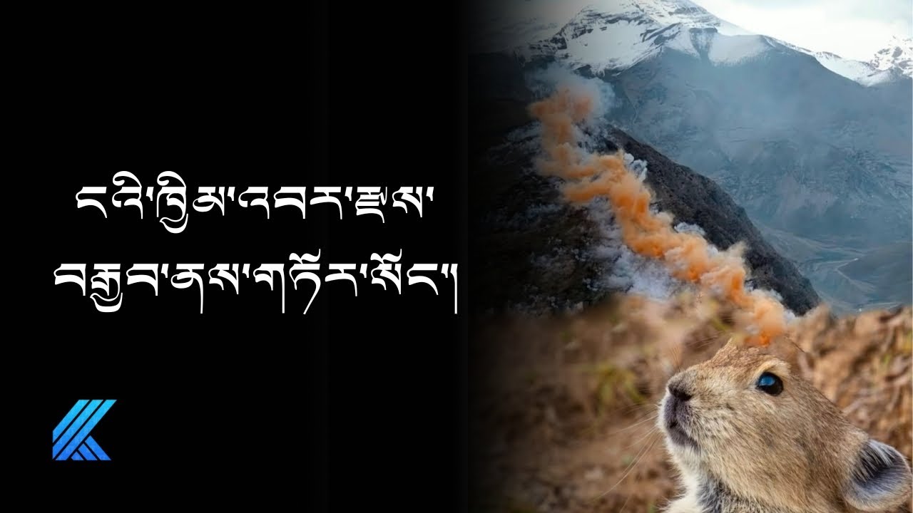 ངའི་ཁྱིམ་འབར་རྫས་བརྒྱབ་ནས་གཏོར་སོང་། ༼འདོན་ཐེངས་ ༡༤༢༽