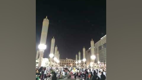 {فلا تعجل عليهم إنما نعد لهم عداً} مؤثرة من سورة مريم للشيخ محمد خليل القارئ