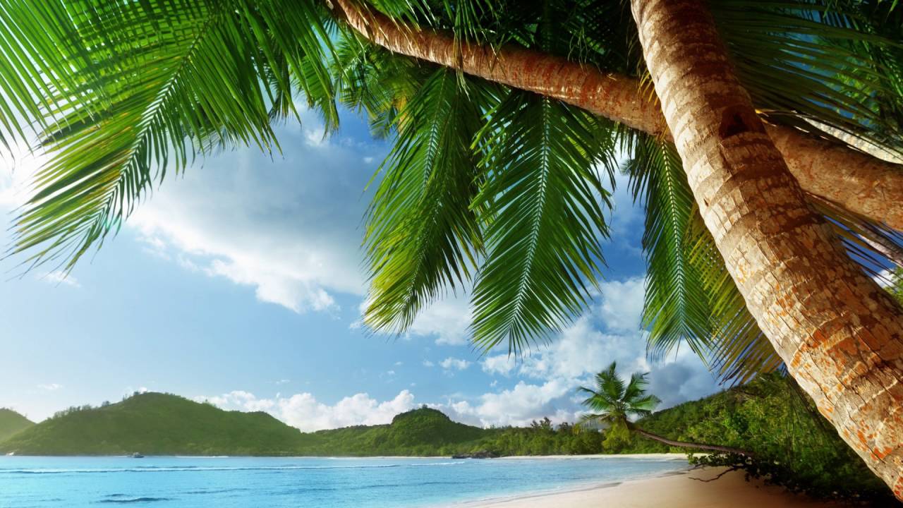 Kygo - Island (Tropical House)