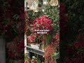 Stunning Red &amp; Black Theme Wedding Decor | Wedding Decorator &amp; Planner in Delhi,