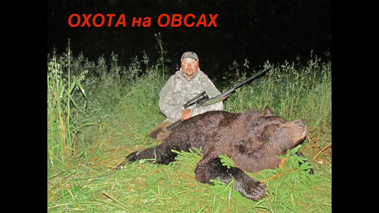 Охота с иж 5