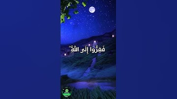 💟 حالة واتس أب   فَفِرُّوا إِلَى اللَّهِ ۖ   القارئ أحمد النفيس 💟