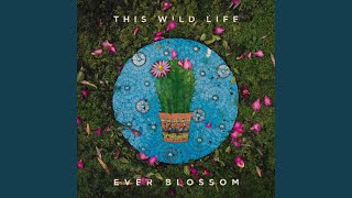 Celebrity Still Wondering Why You Left Me Behind Net Worth