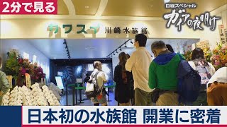 2020/8/11OA 「カワスイ 川崎水族館」開業に密着！【２分で見るガイアの夜明け】