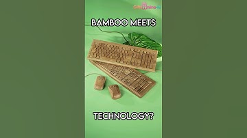 Bamboo Meets Technology?