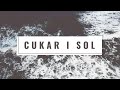 Duo Lipa - Cukar i Sol (DALMATINO COVER)