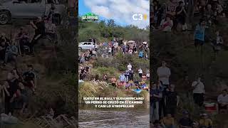 Solo Fue Un Susto Cadena 3 Argentina