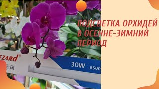 Подсветка орхидей в осенне-зимний период. Выбор лампы. Досветка орхидей.