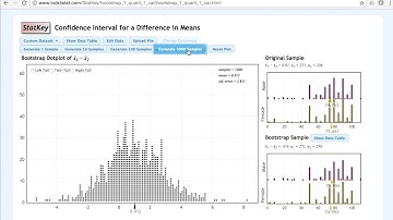 Lesson 10 StatKey Bootstrap CI for Two Means, Physical Appearance by Sex