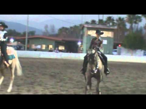 IMA Reflection Horsemanship.wmv