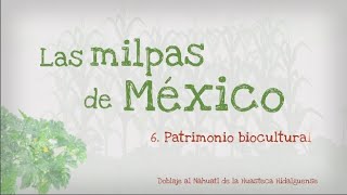 6.- Las Milpas de México, patrimonio biocultural, versión en Náhuatl