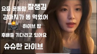 [슈화]슈슈한 라이브