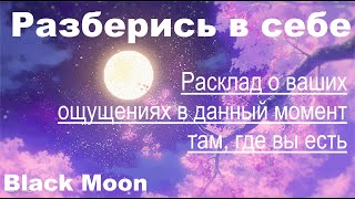 Короткий расклад о Вас и Ваших ощущениях в данный момент