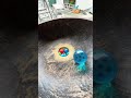 Marble Run EPIC ASMR⭐Superstar Balls Special Course