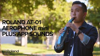 Roland AE-01 Aerophone mini Plus App: Sounds