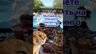 Самый лучший Отдых! Круизы по Средиземке от 400€🥳! #юмор #смешно #приколы