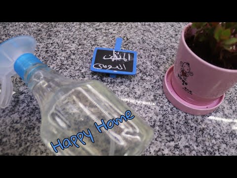 المنظف السحري اليومي بتاعي منظف للمطبخ منظف متعدد الاغراض منظف   حبايب مارو