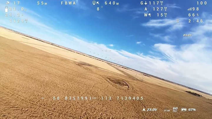 Heewing T2 Cruza VTOL PNP Maiden Flight