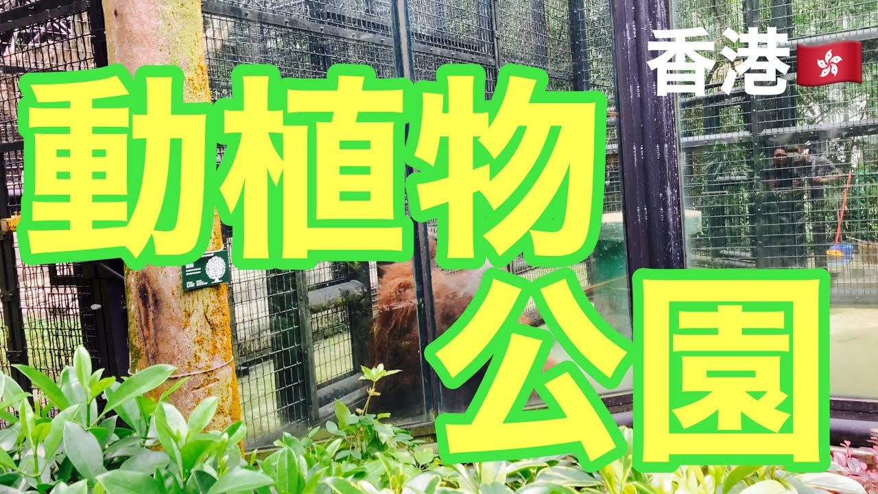 無料だからって侮れない！香港動植物公園でたくさんのモンキーに感激の巻