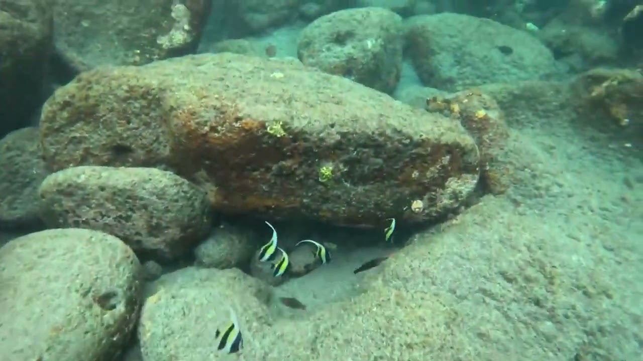 Rainy Miloli’i Cliffs and Water