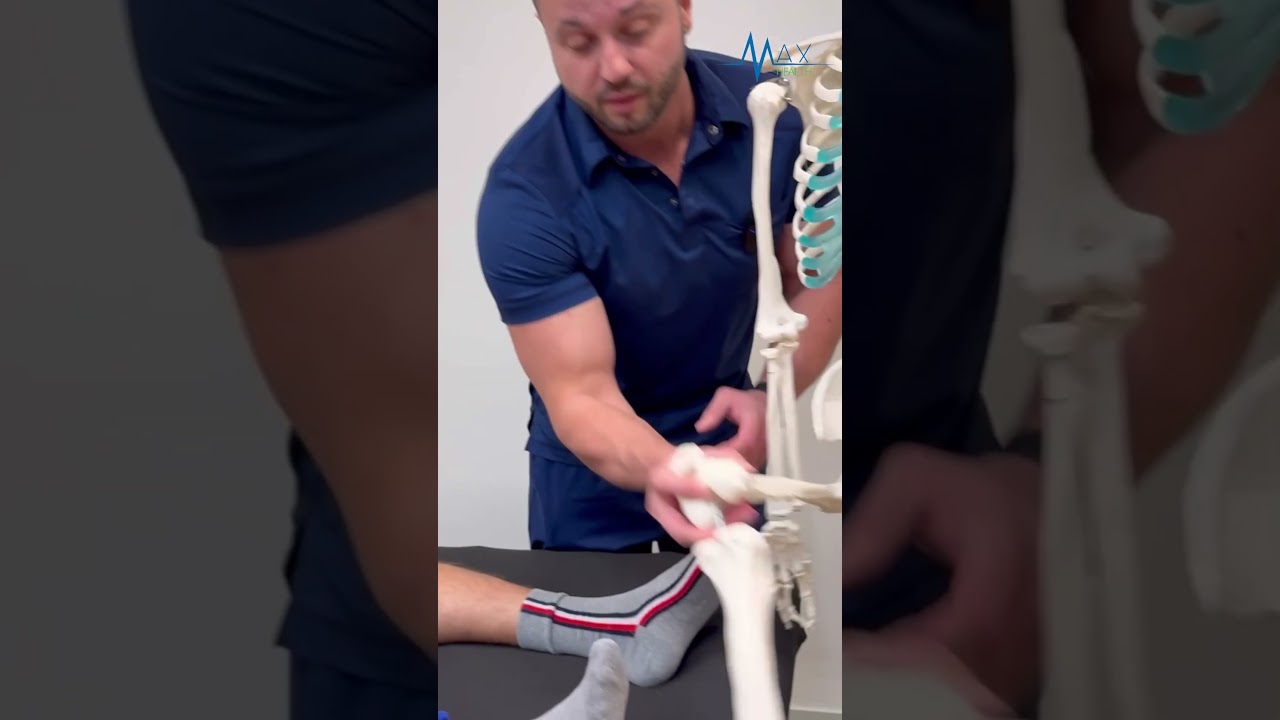 Очень важная мышца для здоровья колена