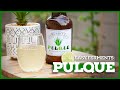 Easy Fermented Drinks: PULQUE (Inspired Drink)🌵