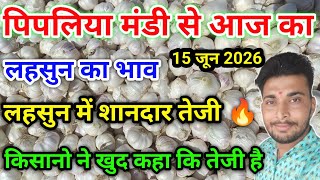देशी ऊटी लहसुन भाव पिपलिया मंडी New Garlic Price Today Pipliya Mandi June 15, 2026