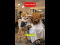chistes en el estilista #ai #funnydogs #bufalo