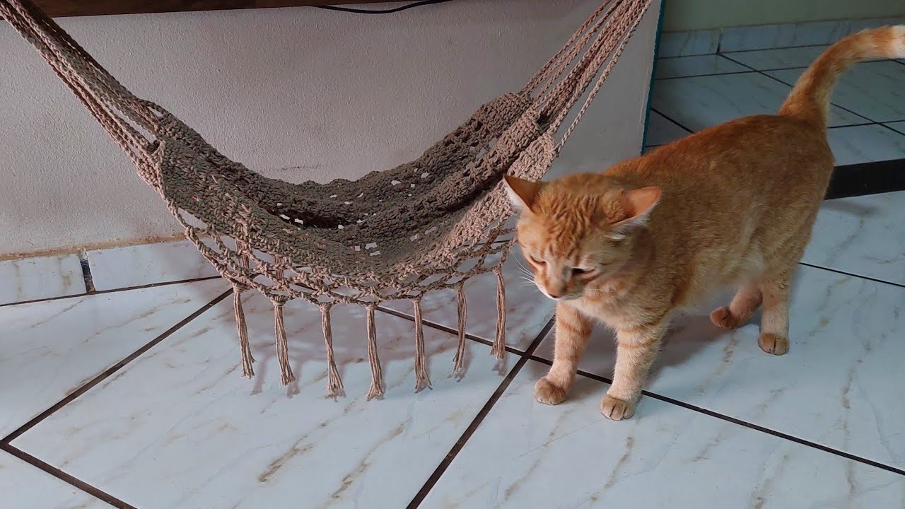 Rede de croche para gatos fácil de fazer ou (fruteira) 😻😻😻🍊🍌🍍🍎