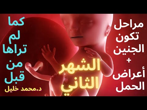 فيديو: تطور الحمل والمحافظة عليه