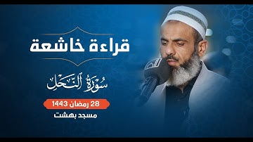 تلاوة خيالية من صلاة الفجر للقارئ  عمر عبدالله سورة النحل 4K