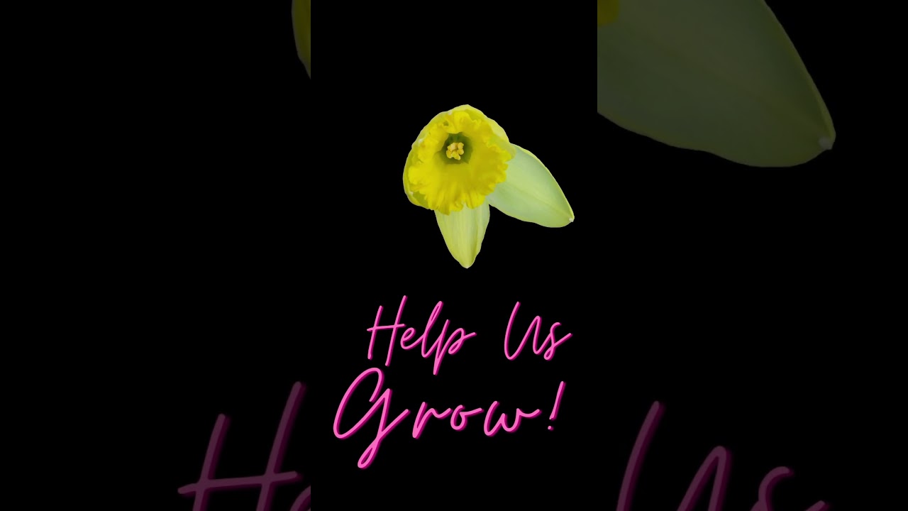 Fast growing cannabis apparel for women WEEDGAL 