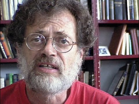 Terence McKenna - The Millennium Tour